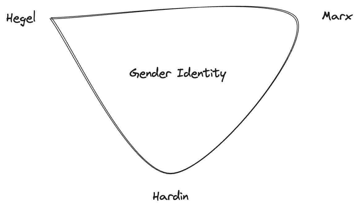 gender-fluidity-perspectives